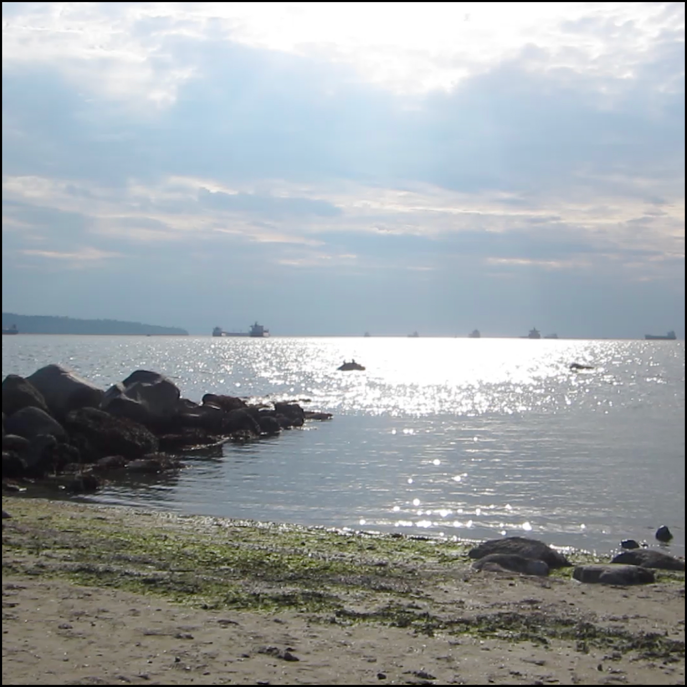 Ocean sounds from the shore