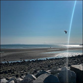 photo of the view of the sea at Stanley Park