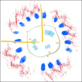 All layers put together