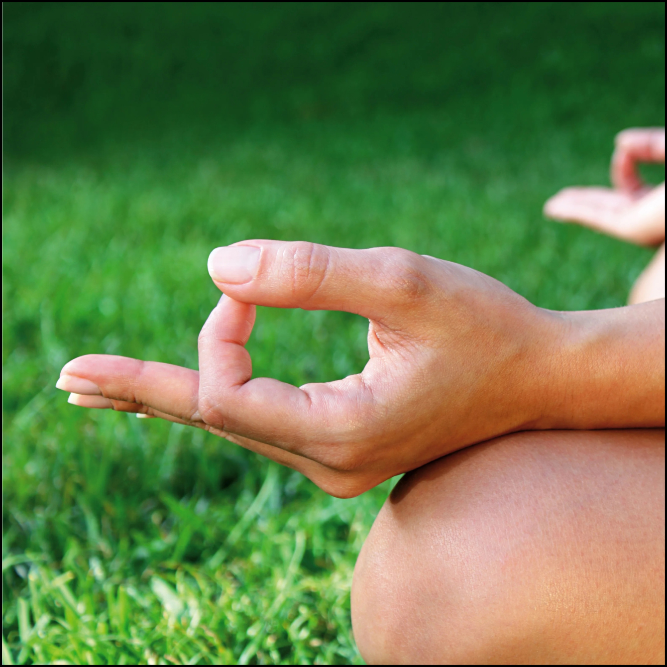 Idea inspired by hands during meditation. Source: https://d1migpe0gurg12.cloudfront.net/Blogs/gyaanmudra.webp